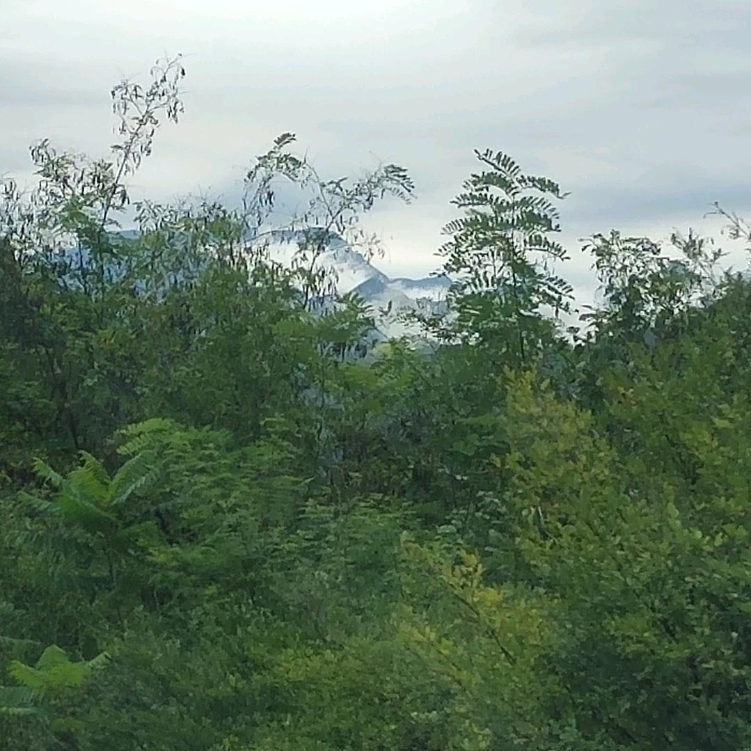 乐乐-玥玥妈妈👩🏻