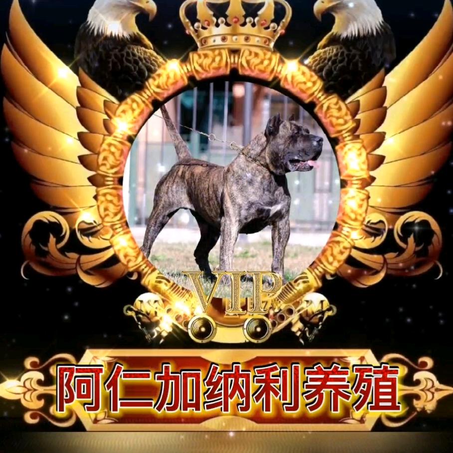 柘城县阿仁养殖场