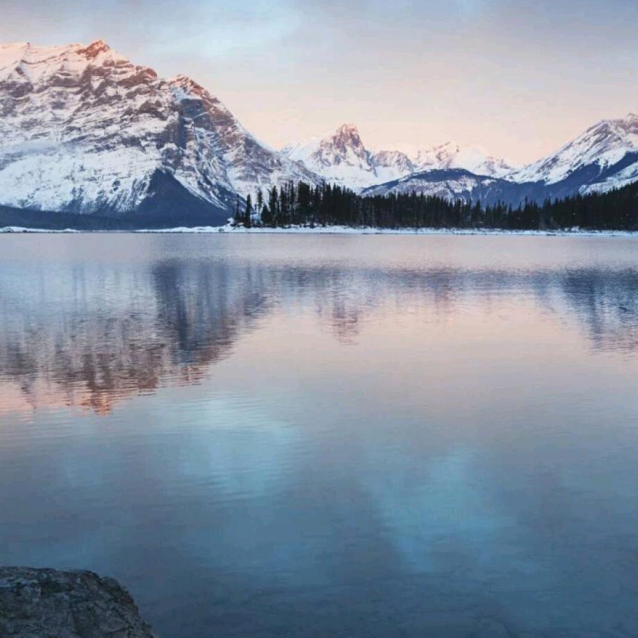 Arabot Ren（任晓东）