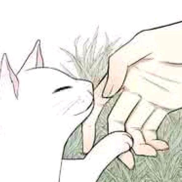 婉苏