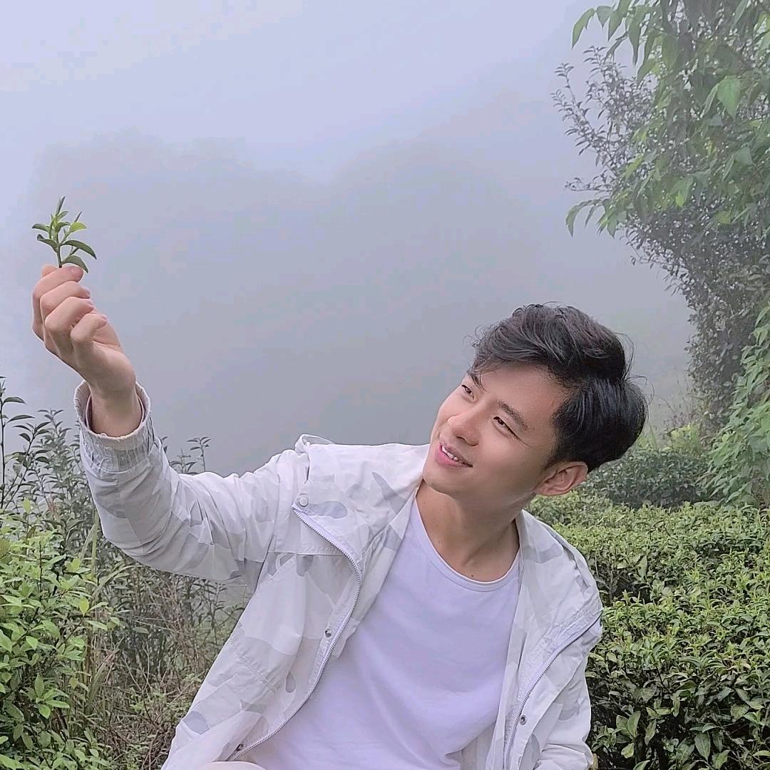 观雷茗茶