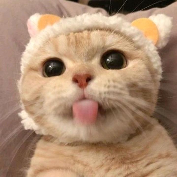 累了！！