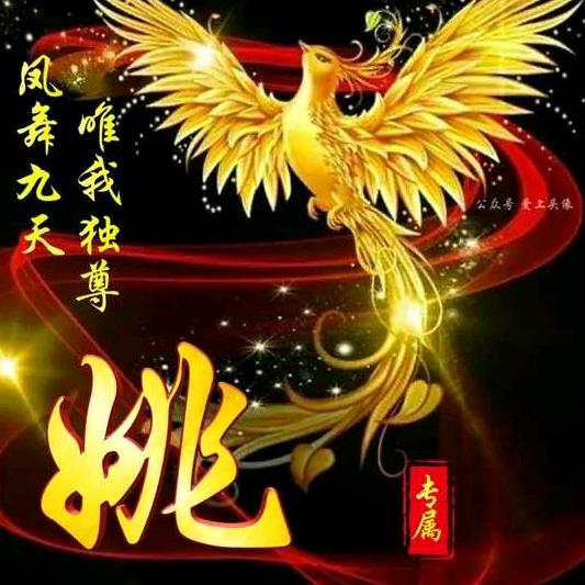 小姚