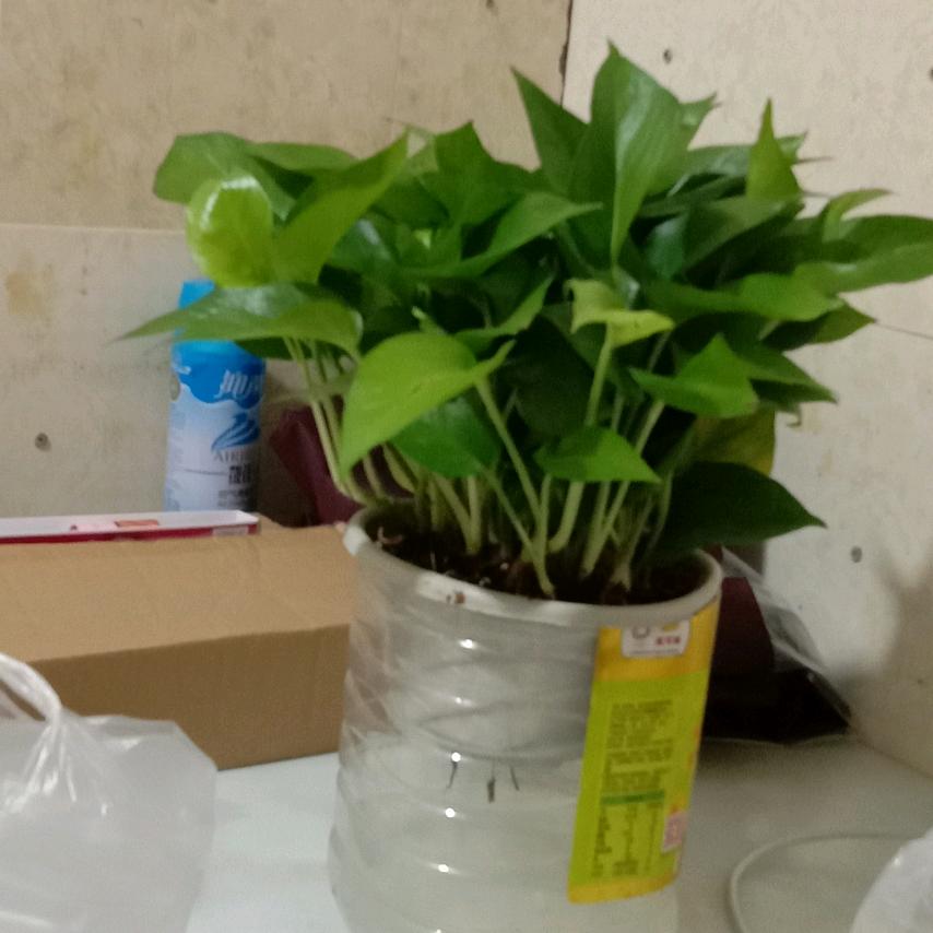 不负韶华，砥砺前行