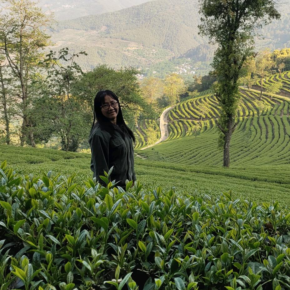 贵州旅游找翠花