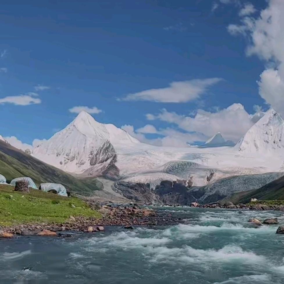 马到成功(交朋友)