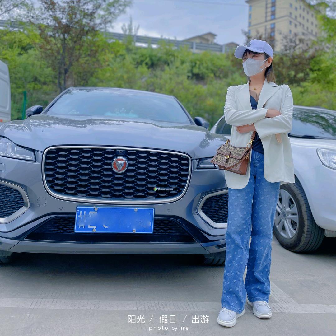 胖子鱼川派鲜鱼火锅(秦安形象店)官方号