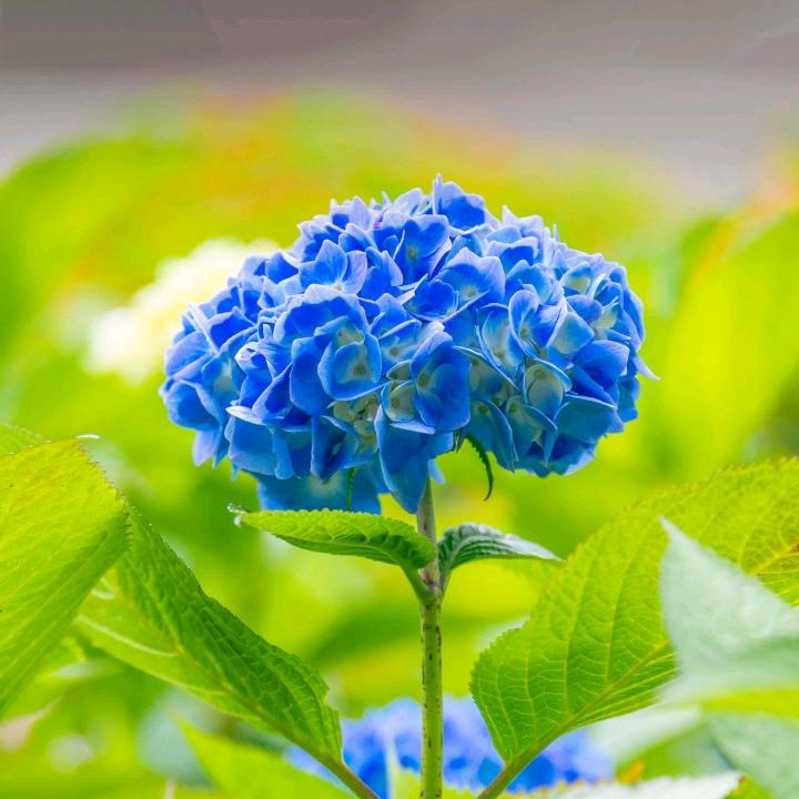 天涯海角