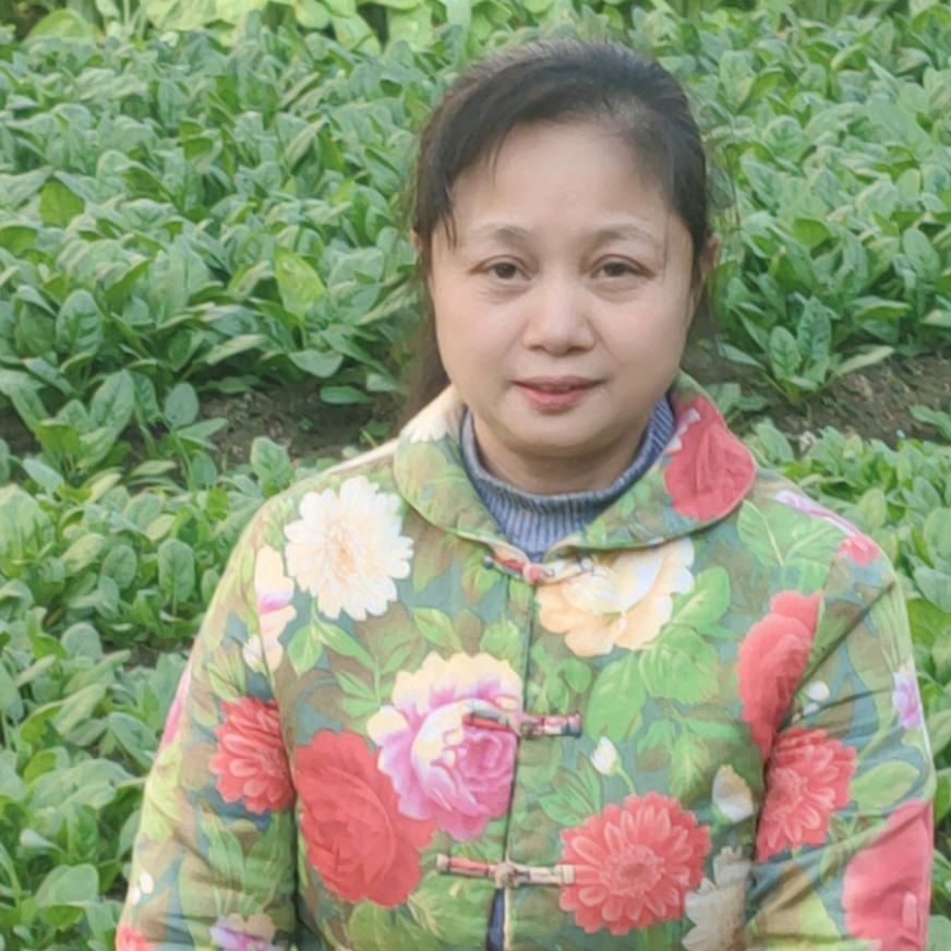 小莲大姐