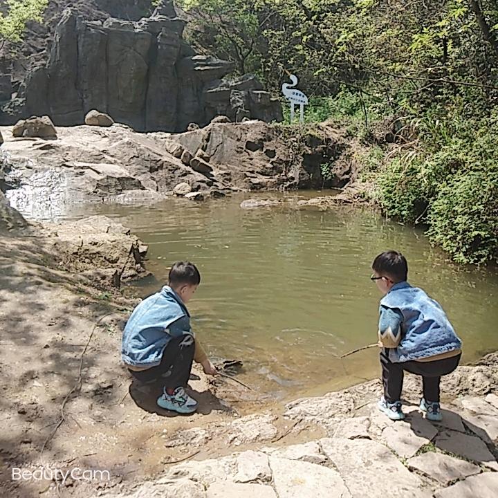 两只小马的快乐