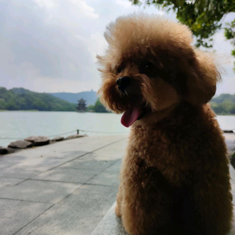 我系天蝎座