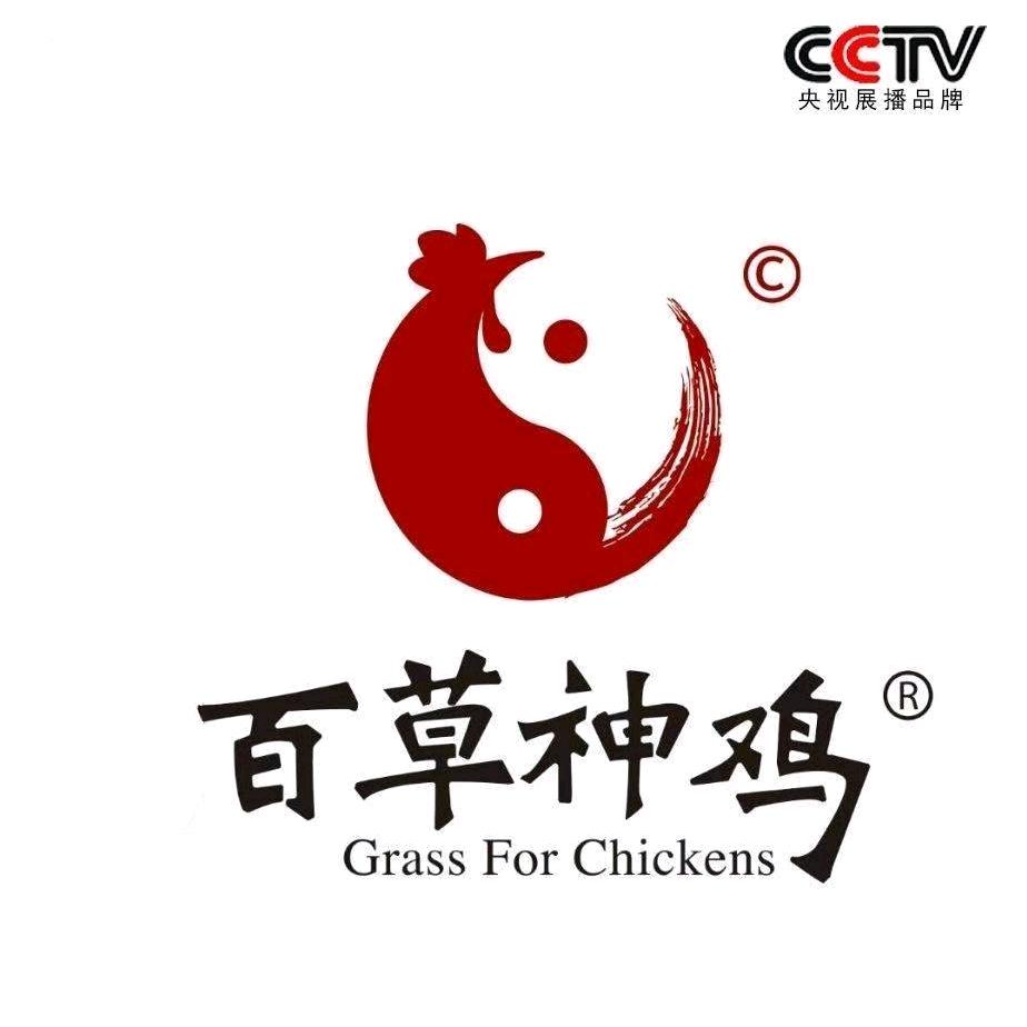 徐州百草神鸡麻椒鸡。