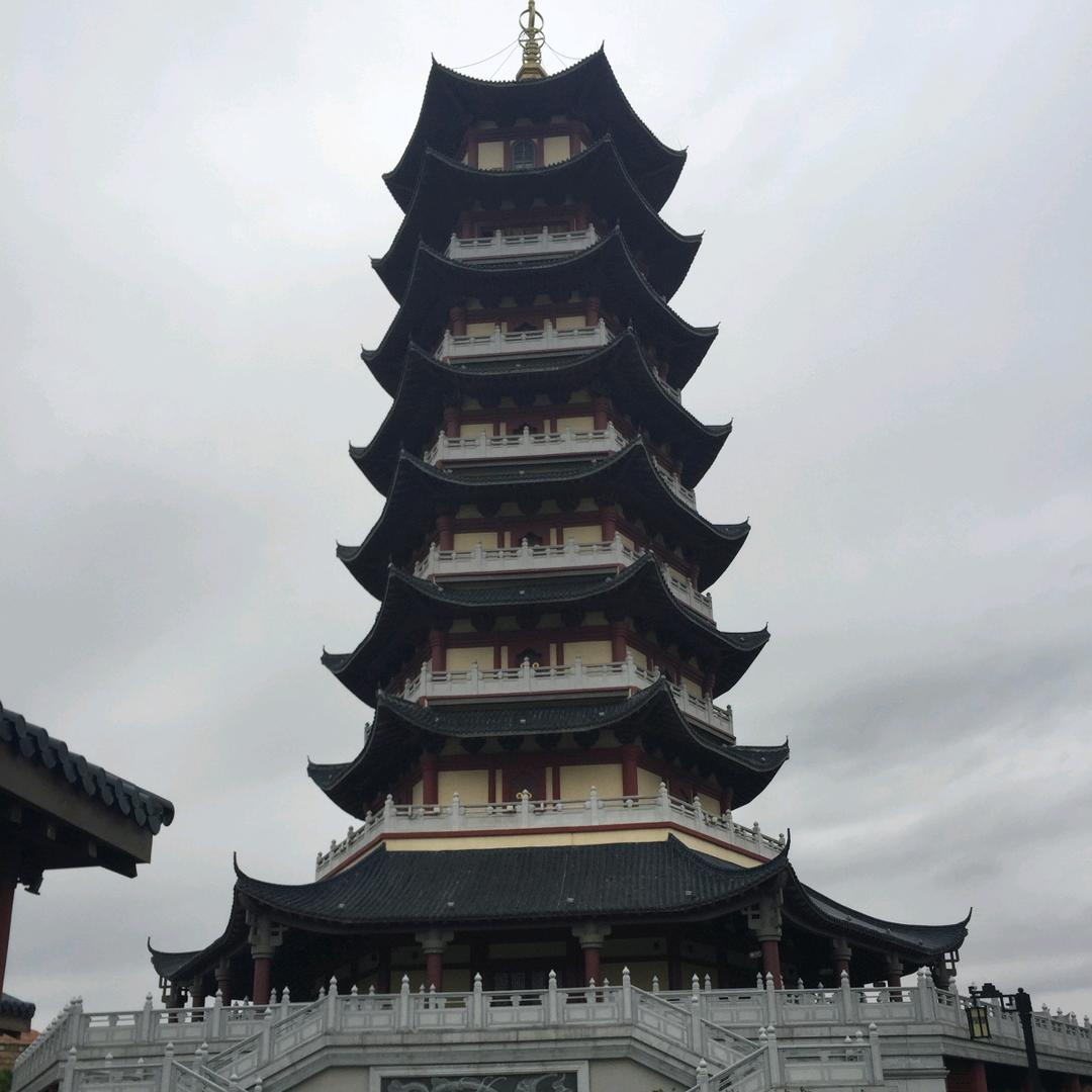 C云t