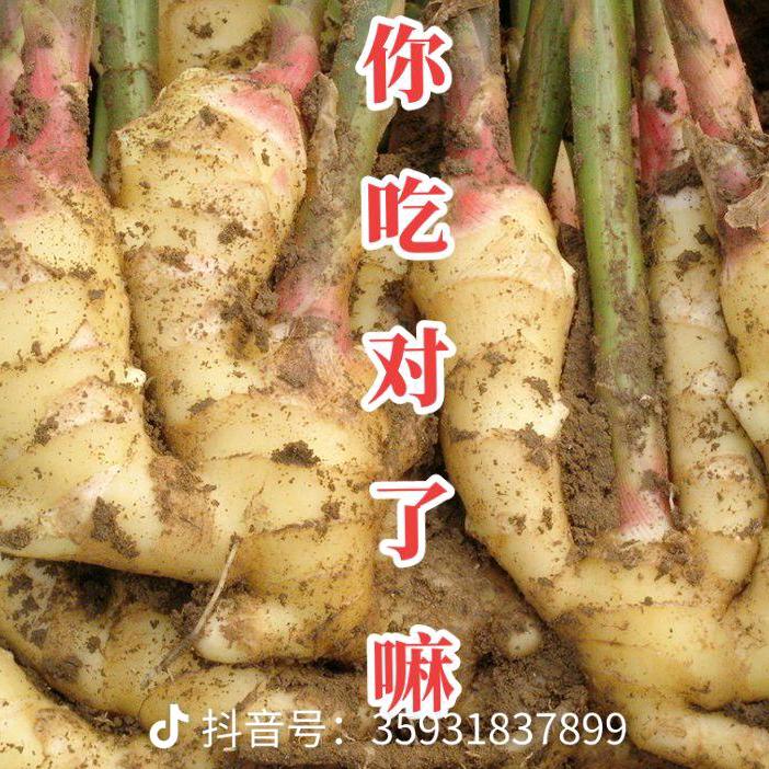 为了每一天我张美女