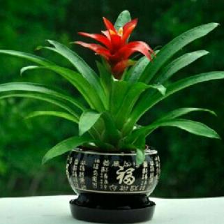 开开心心用户1715662326692