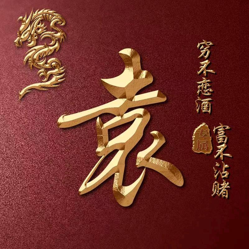 袁氏家族传媒