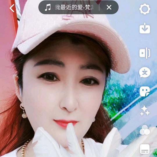 紫桐花