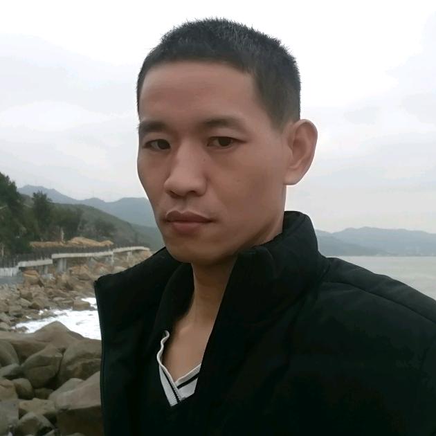 树叶没烦恼