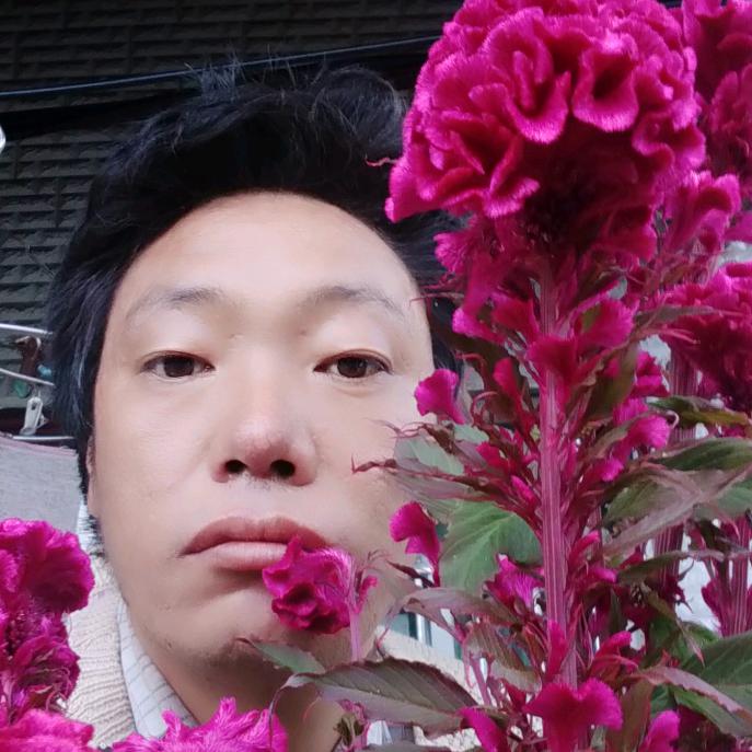 痴心犯了错