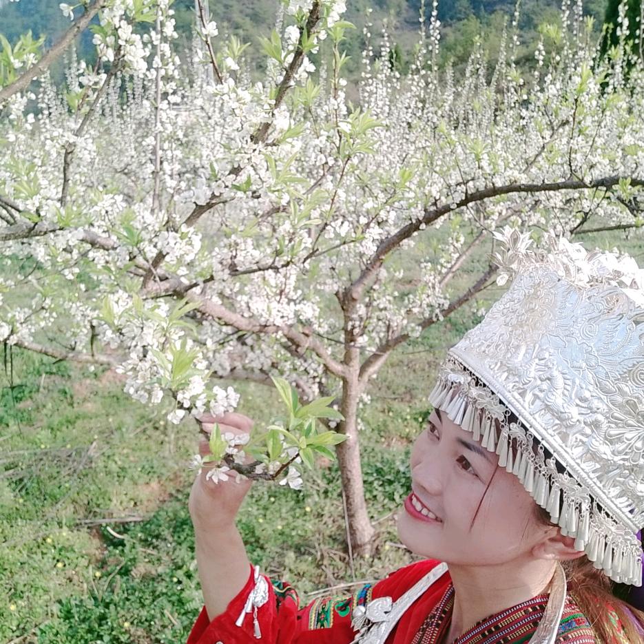兴礼种植园