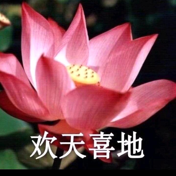不堪回首