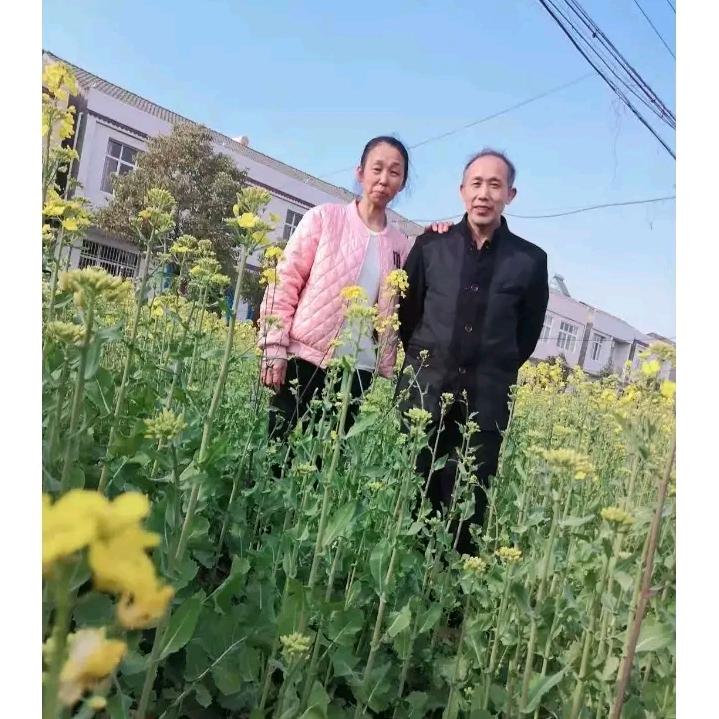 马五哥（早上六点半）