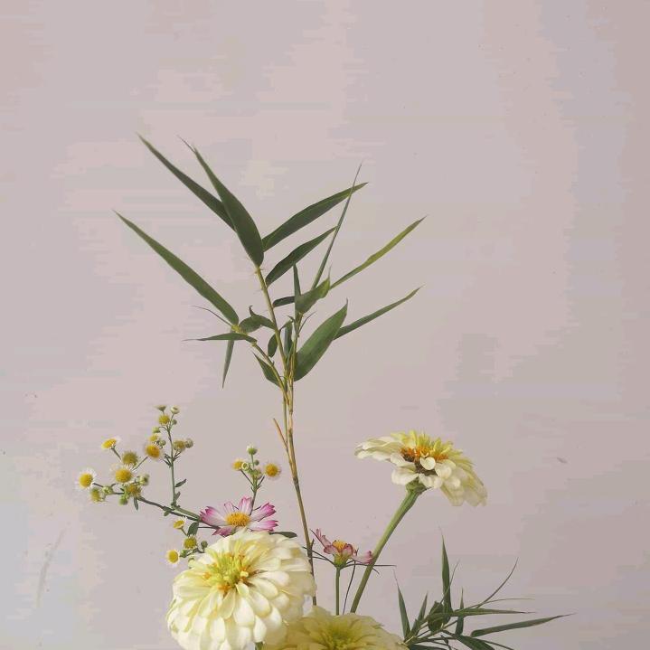 深冬说牙谈风湿