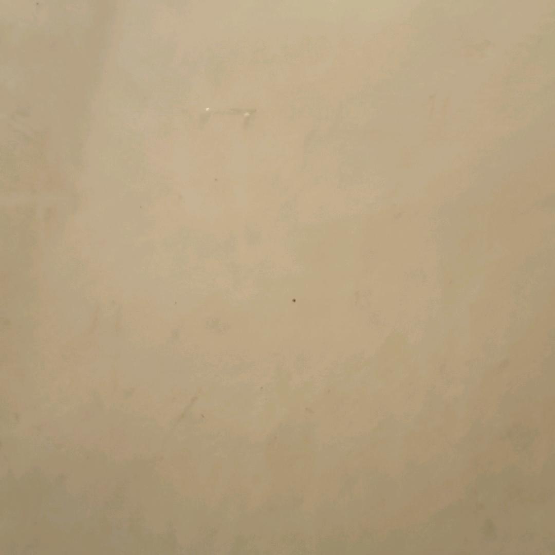 小花