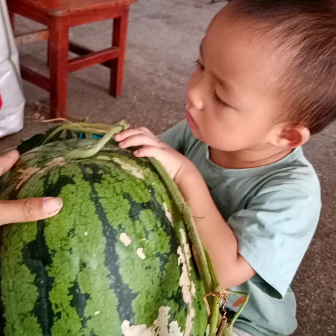 许多多