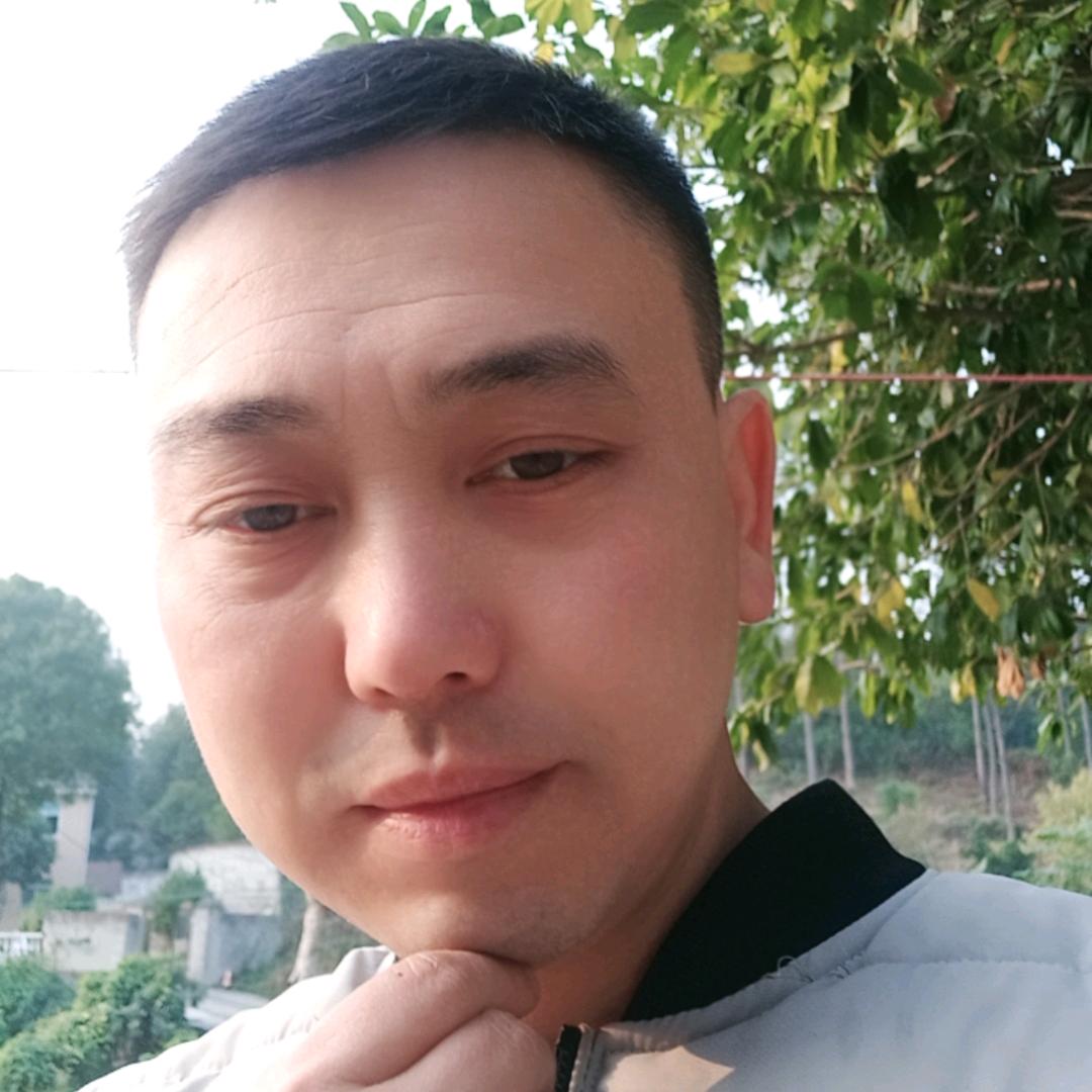 有点疯《杨杨哥》