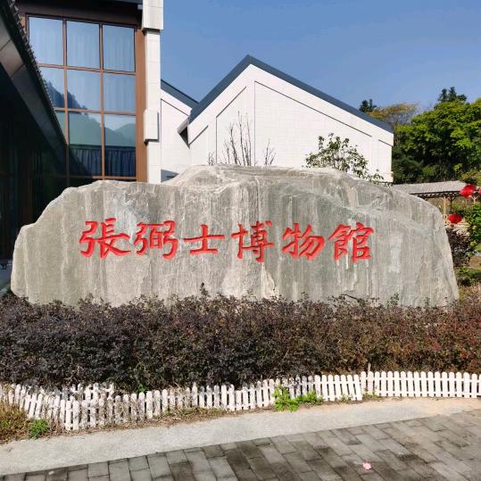 卢哥