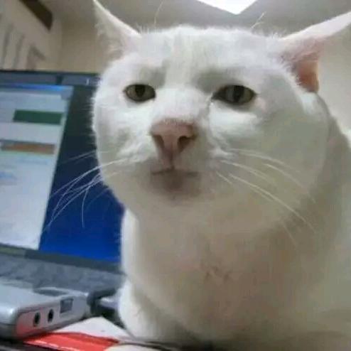 忧郁的咸鱼