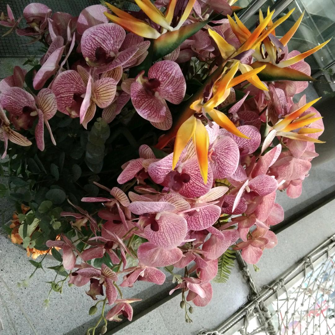 云游天下