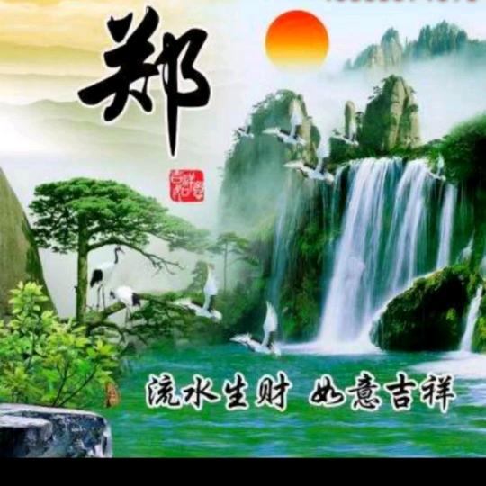 静观鱼游