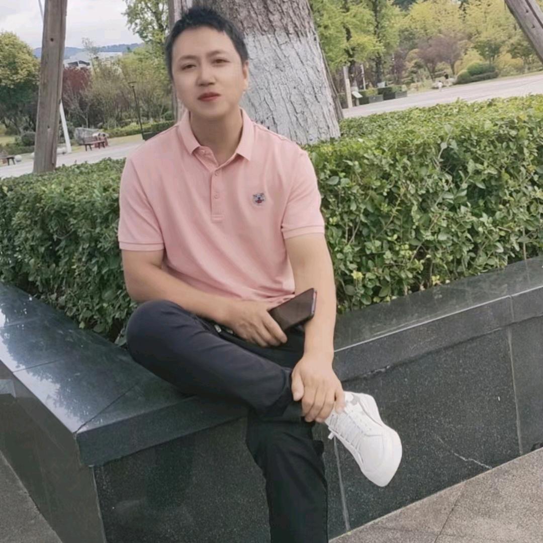 孤独的大雁