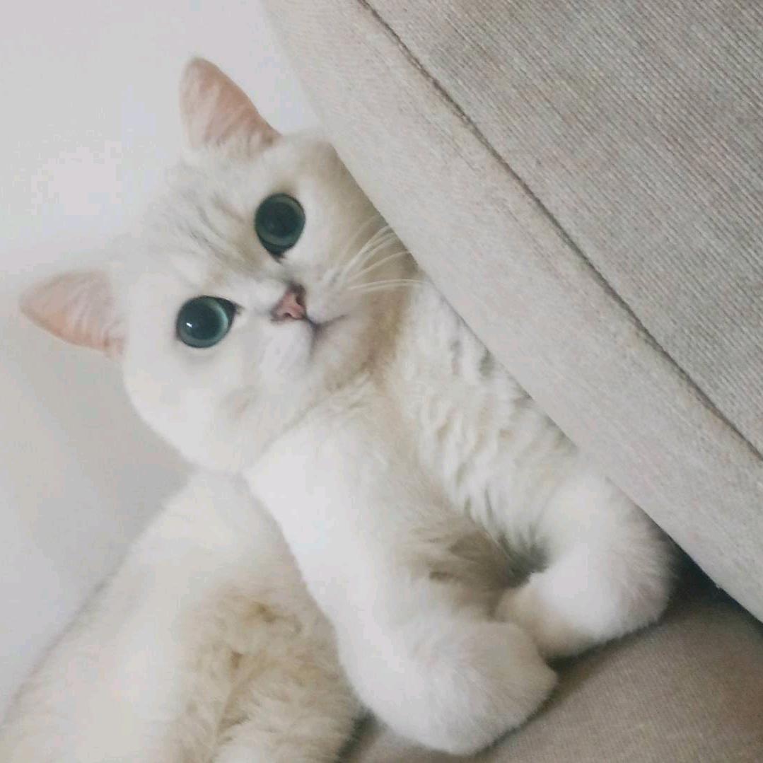 我就是我、