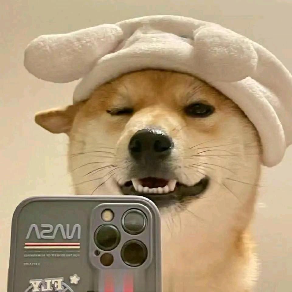 睡不够