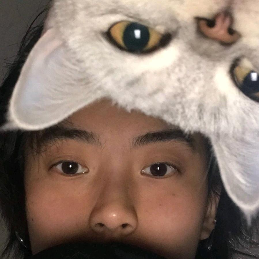 数羊达人