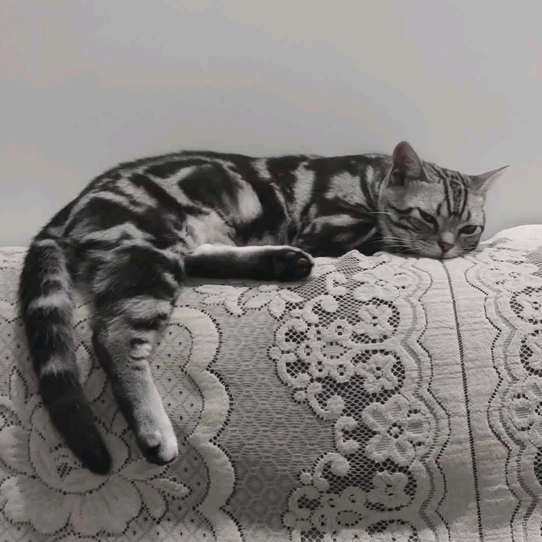 云霄中的王小凡头像