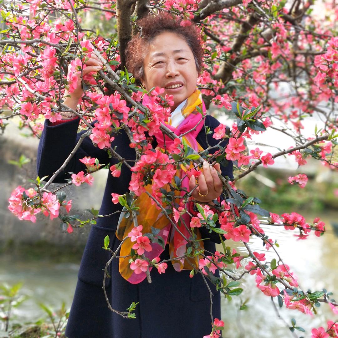 高山松柏