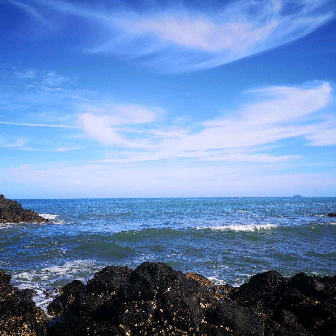 人面不知何处去