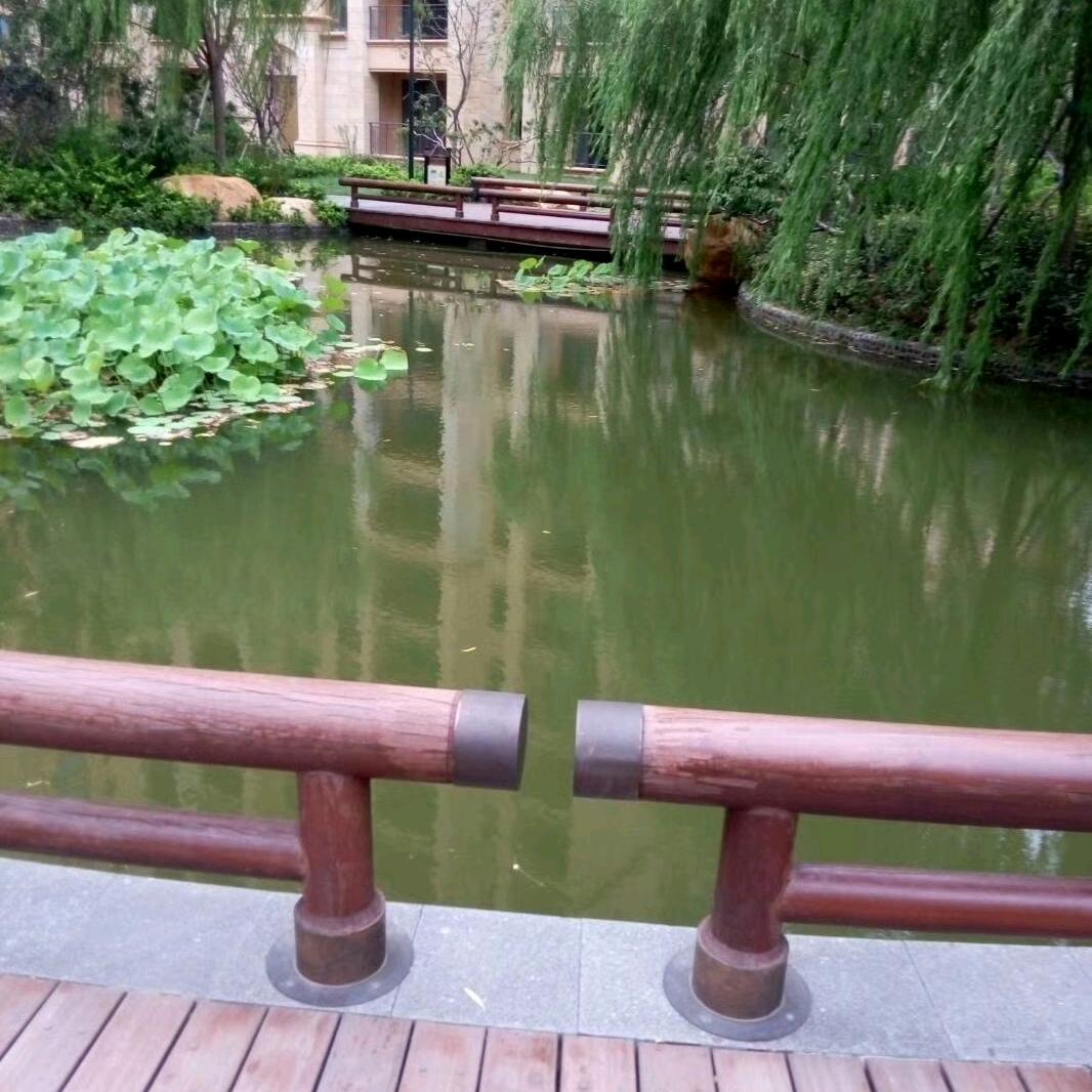 青莲