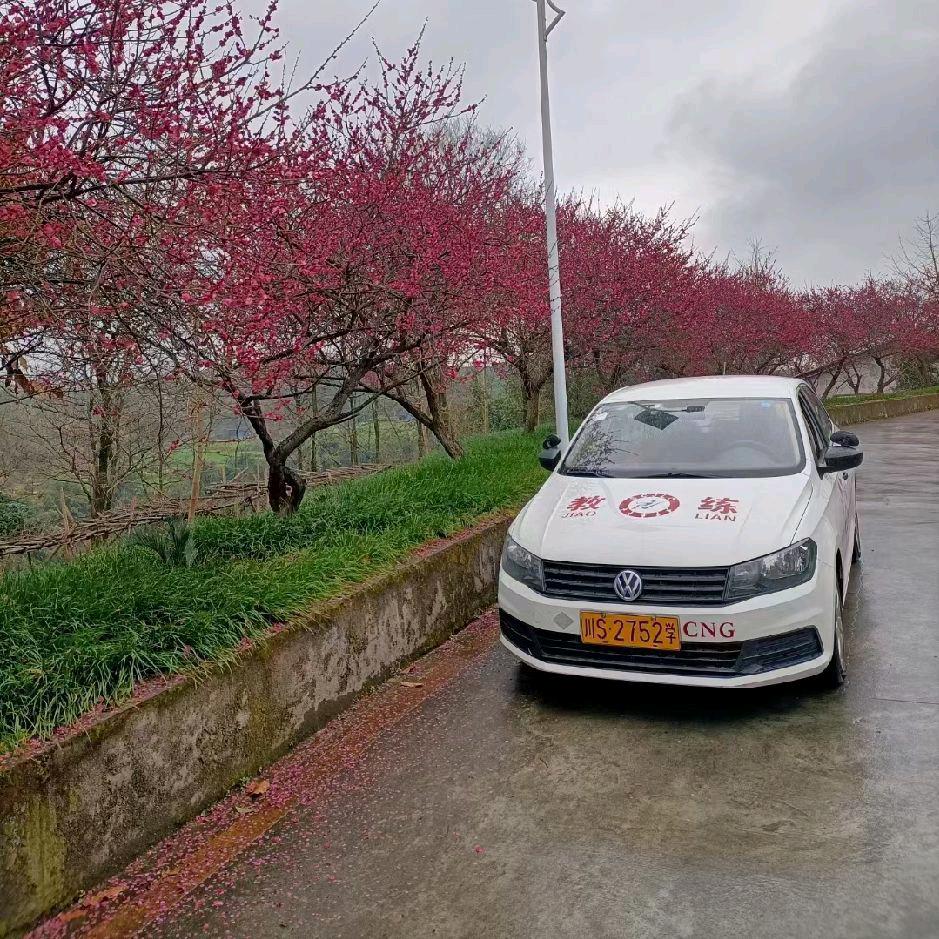 达州锦锋祥顺驾校