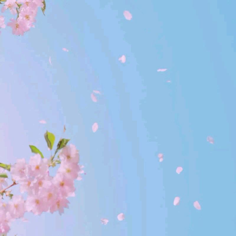 我是那个谁谁谁