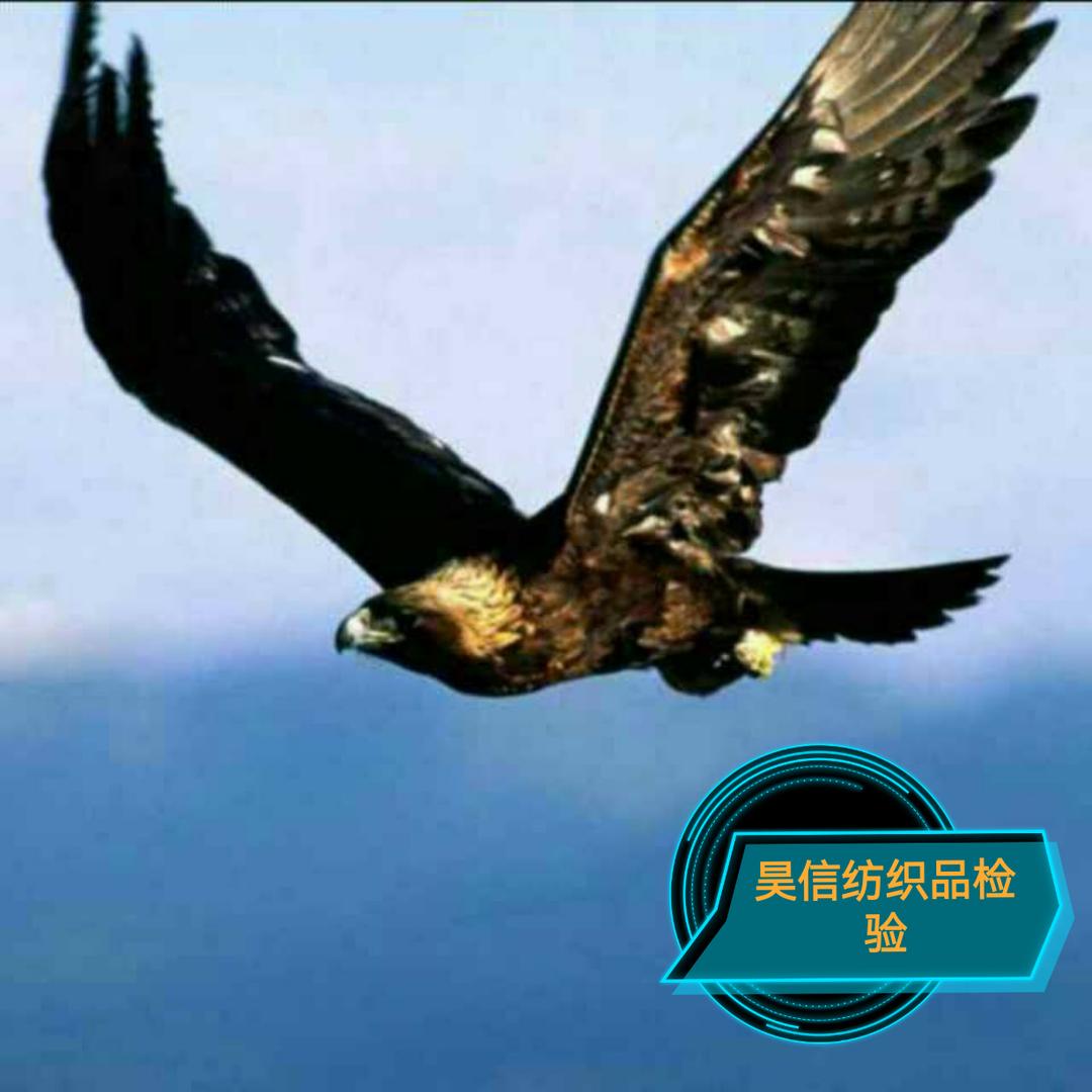 南～风