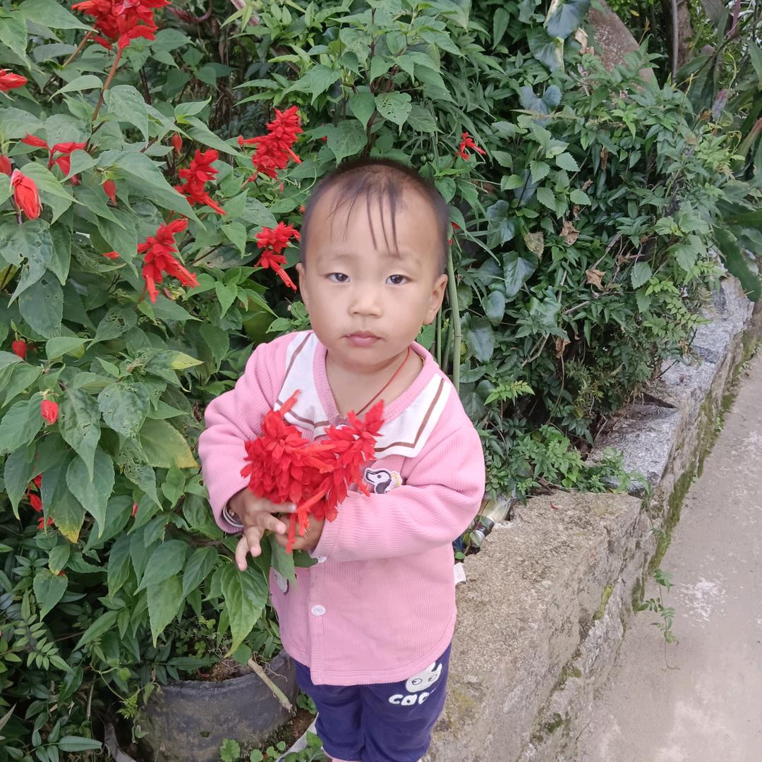 情花有毒