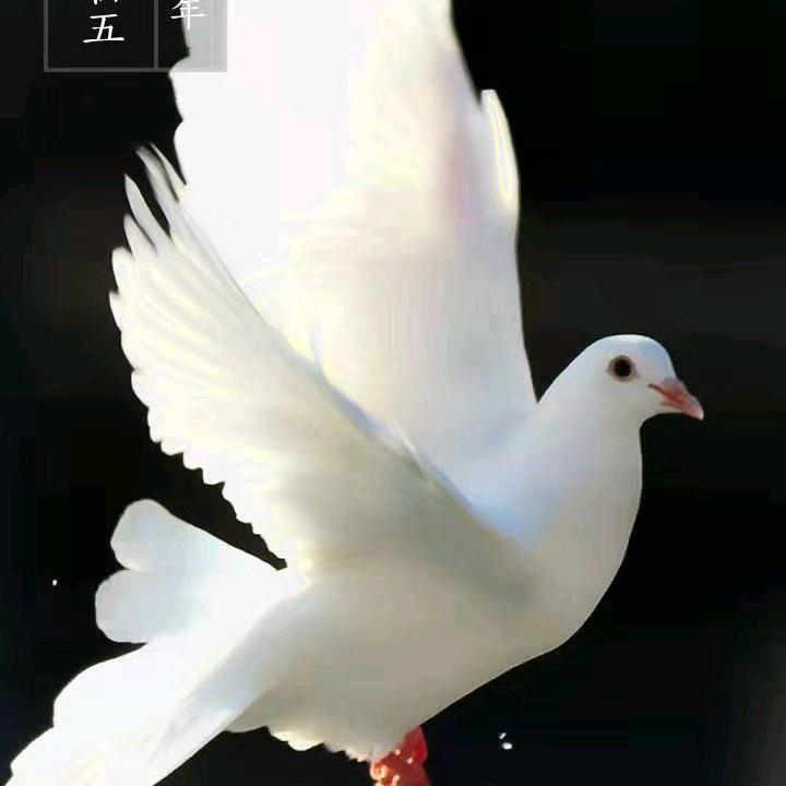 用户121499404816李海龙