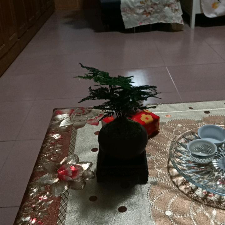 知天命
