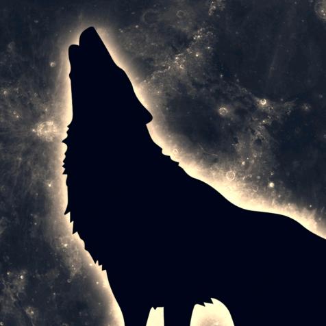 你o_O※＜猜猜＞