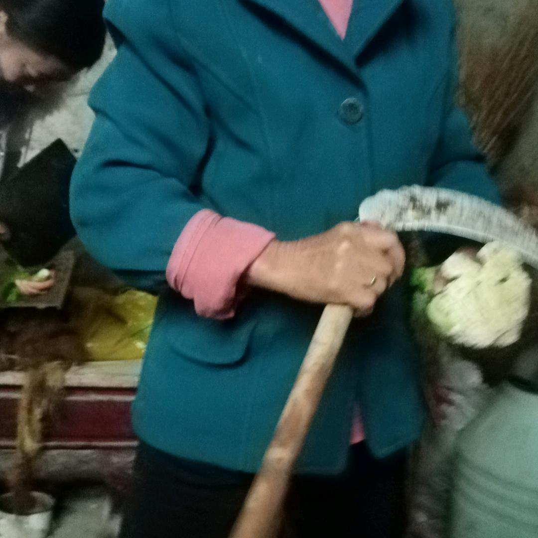 精品牛繁育基地